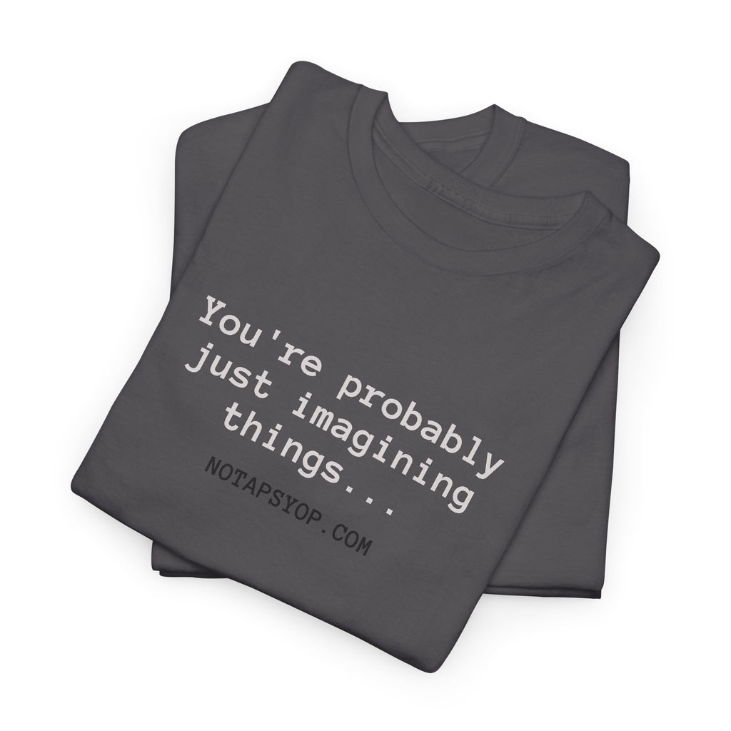 You’re Probably Just Imagining Things Funny Quote T-Shirt